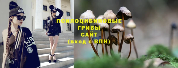 соль ск Козельск