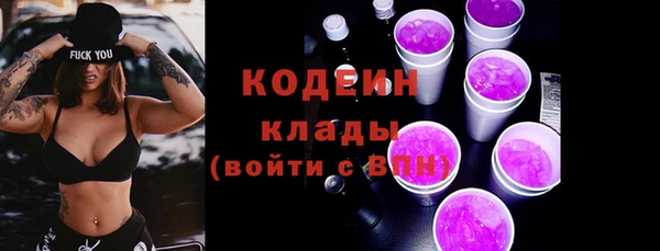 соль ск Козельск