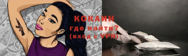 стаф Козловка