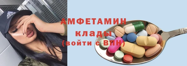 стаф Козловка