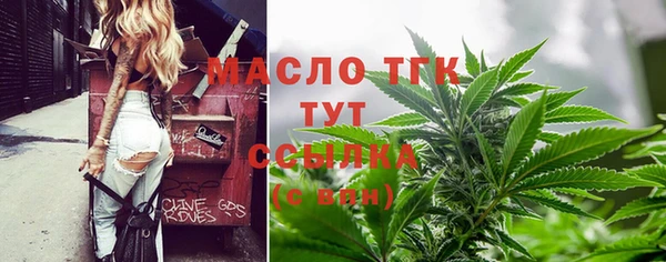 стаф Козловка