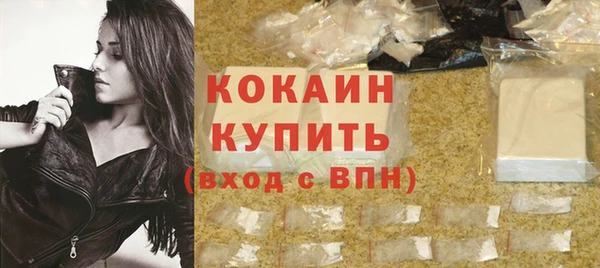 стаф Козловка