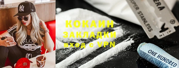 стаф Козловка